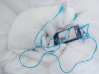 Lưu ý tổ chức tiệc cưới