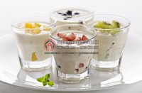 Sánh mịn với máy làm sữa chua tại nhà