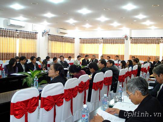 Nơ ghế hội thảo