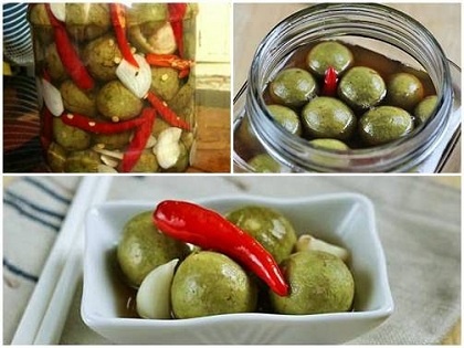 Áo ghế hội nghị Áo ghế hội nghị